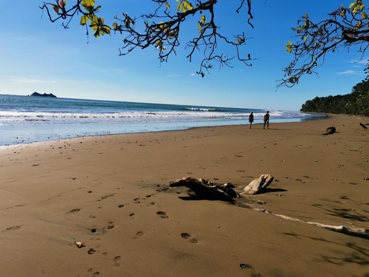 Elan At Ballena Beach Uvita Kültér fotó